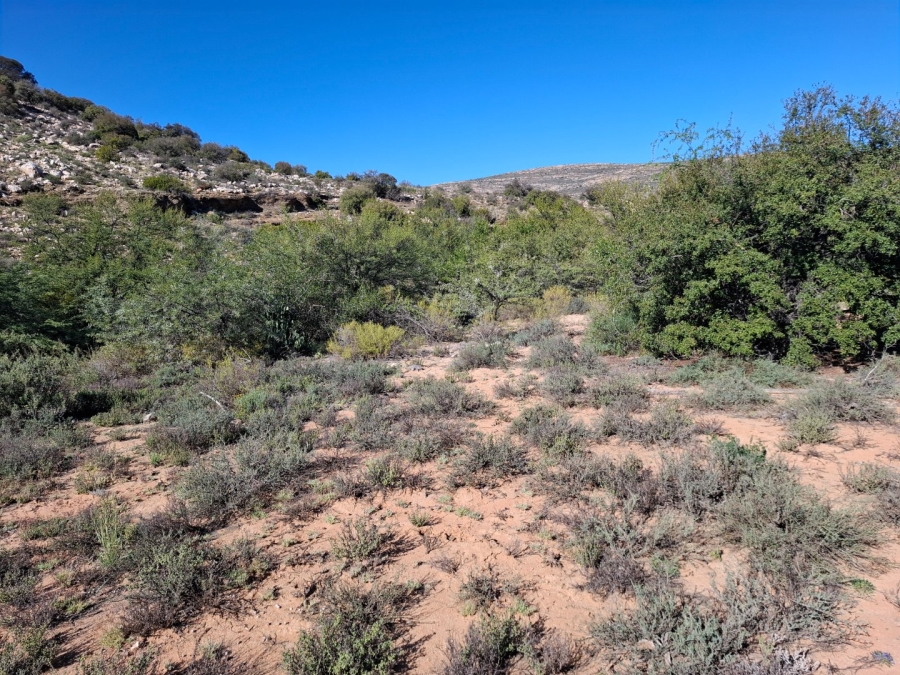  Bedroom Property for Sale in Ladismith Rural Western Cape